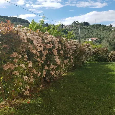 Apartman Casa Mary *